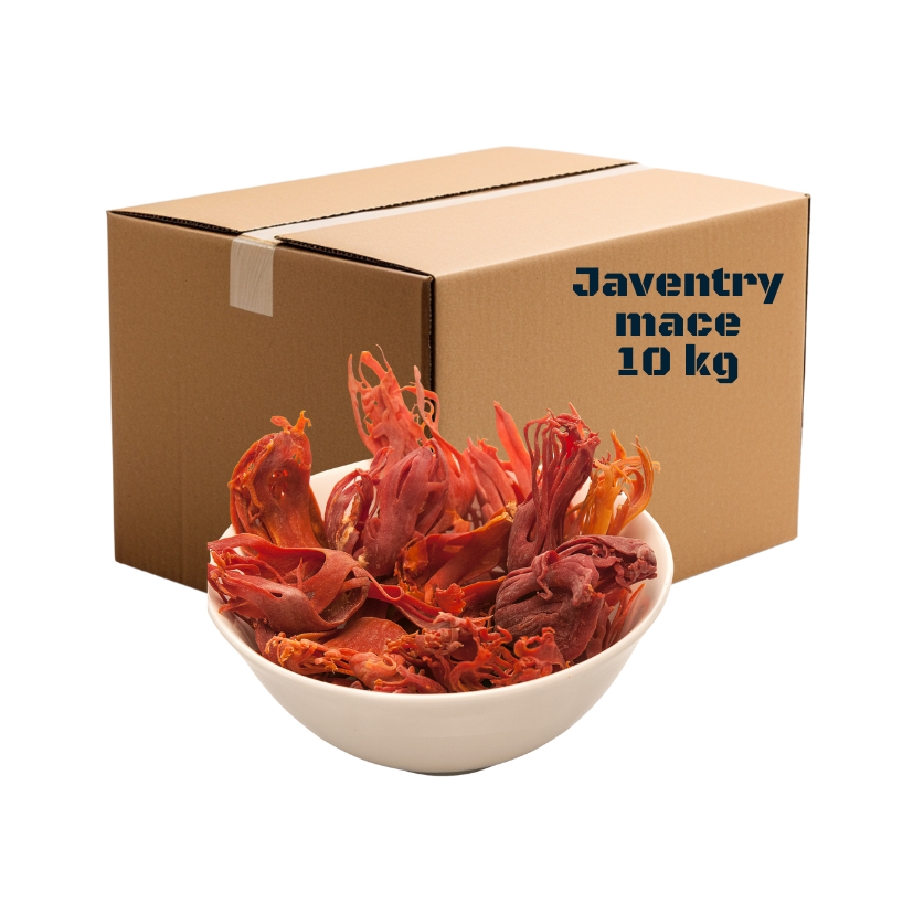 [787] JAVENTRY OR MACE 10KG
